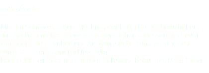 i siciliani Eine im Schmuck seltene Technik, der Raku-Brand, braucht Feuer und Asche um etwas ganz Neues entstehen zu lassen. Im Feuer verändern sich Struktur und Ausgangsfarben und werden erst durch Sie interessant und lebendig. I siciliani ist ein alter italienischer Volkstanz Raku-Ton, 925/- Silber
